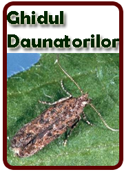 Ghidul daunatorilor